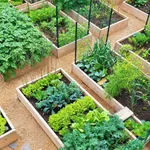 Bán nhà Điện Tiến 110m2, 1 tỷ 350 - Ảnh thu nhỏ 1