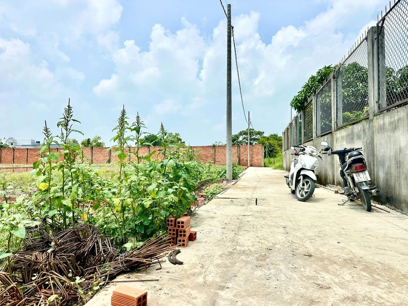 Bán đất nền sổ riêng 105m2 Mỹ Lộc, Tây Ninh (Phước Lâm, Cần Giuộc cũ) giá 780 triệu