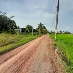 Bán đất Châu Thành Tây Ninh 340m² có thổ cư - Ảnh thu nhỏ 1