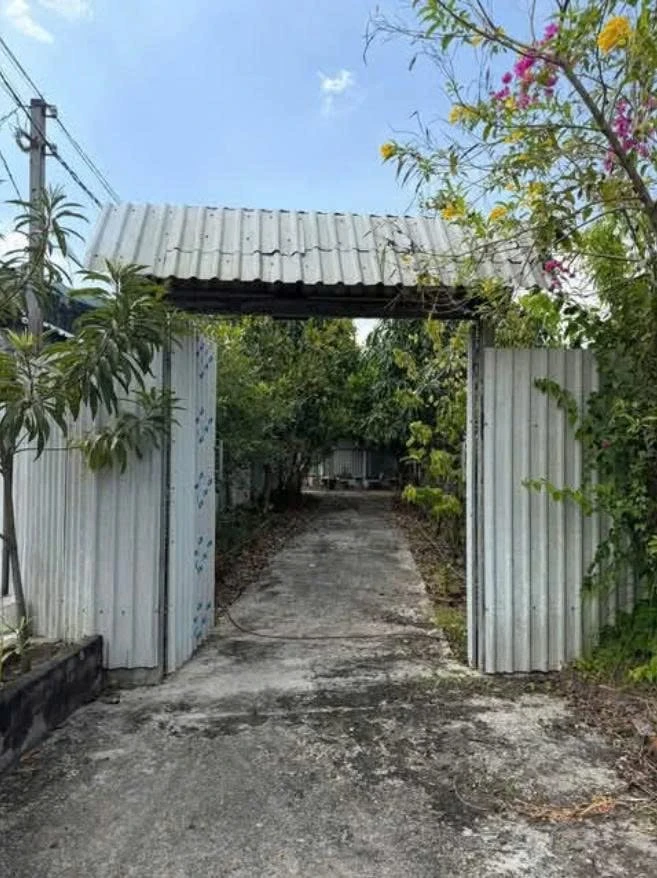Bán nhà vườn 393m² thổ cư tại Mỹ Lộc, Cần Giuộc, Long An giá 1,5 tỷ - Ảnh thu nhỏ 3