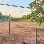 Bán đất 250m² Phước Hải Bà Rịa - Vũng Tàu 2.2 tỷ - Ảnh thu nhỏ 4