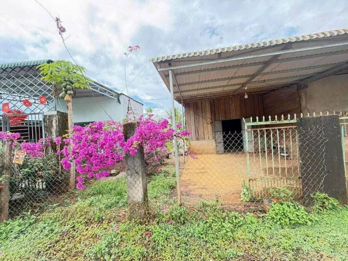 Bán đất mặt tiền Lê Duẩn Hóc Môn, 280m², 1 tỷ - Ảnh thu nhỏ 3
