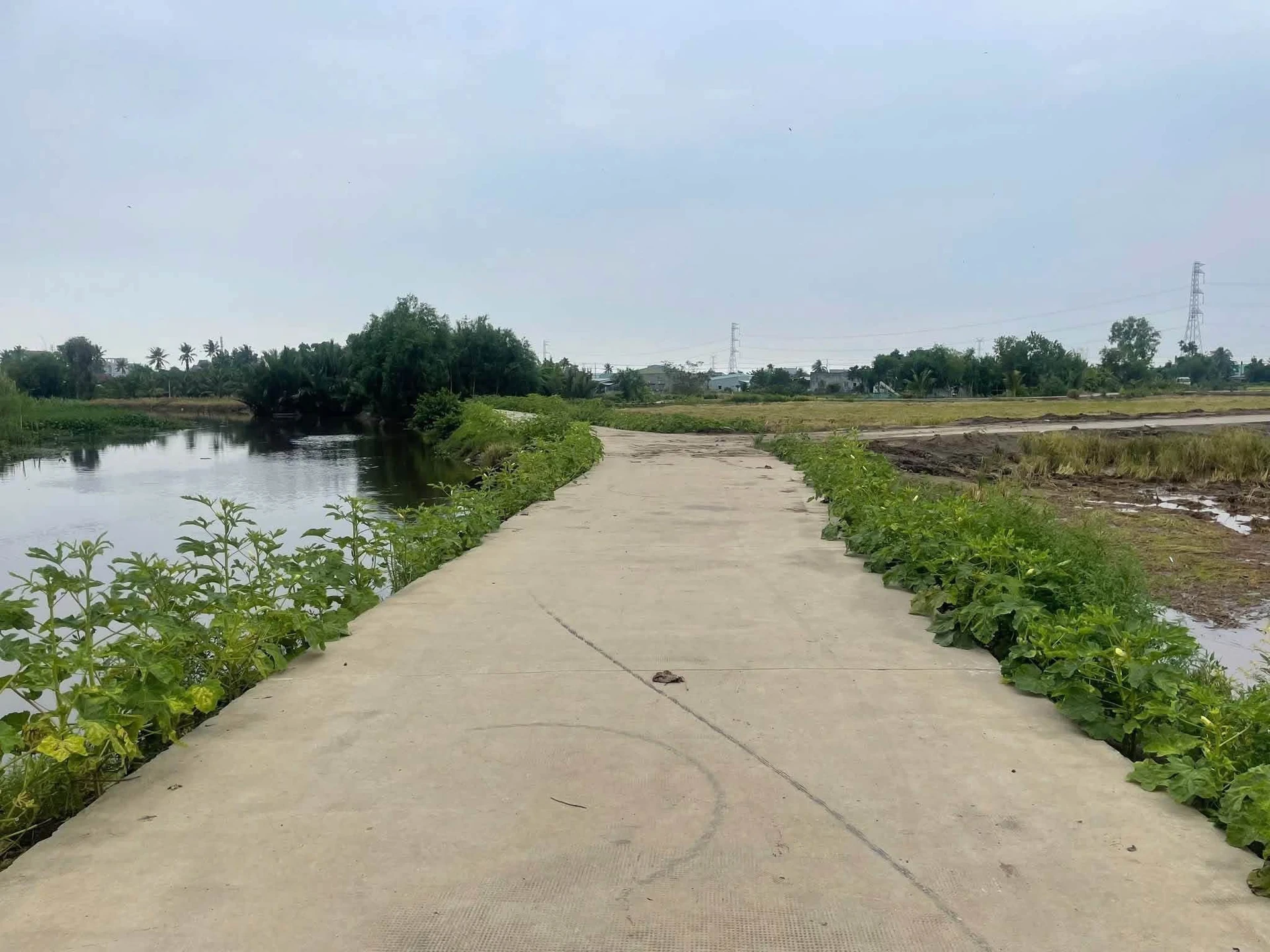 Bán đất nền 6488m2 tại Cần Dước Tây Ninh 1,2 tỷ/1000m² - Ảnh 1