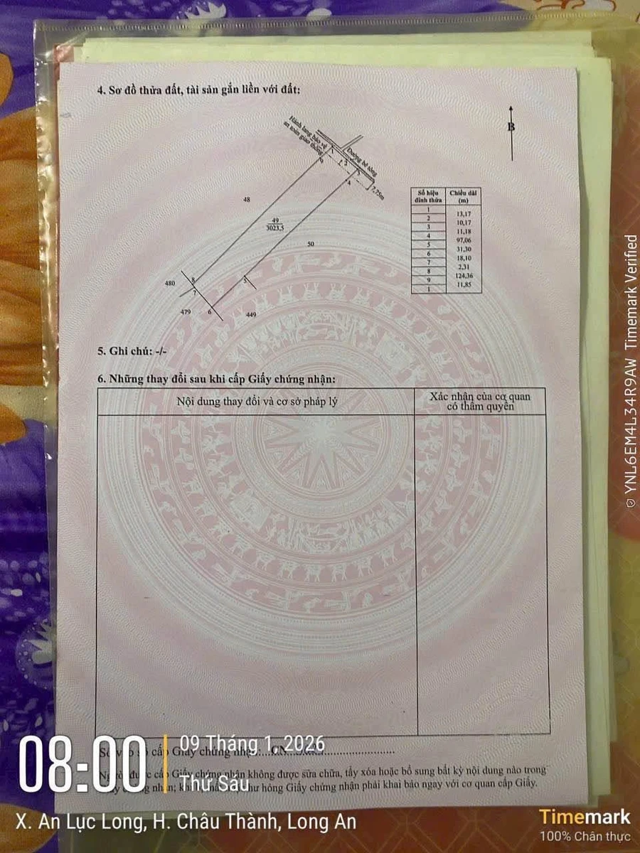 Bán đất 3023 m2 Tây Ninh 450 triệu/1000 m2 - Ảnh thu nhỏ 4