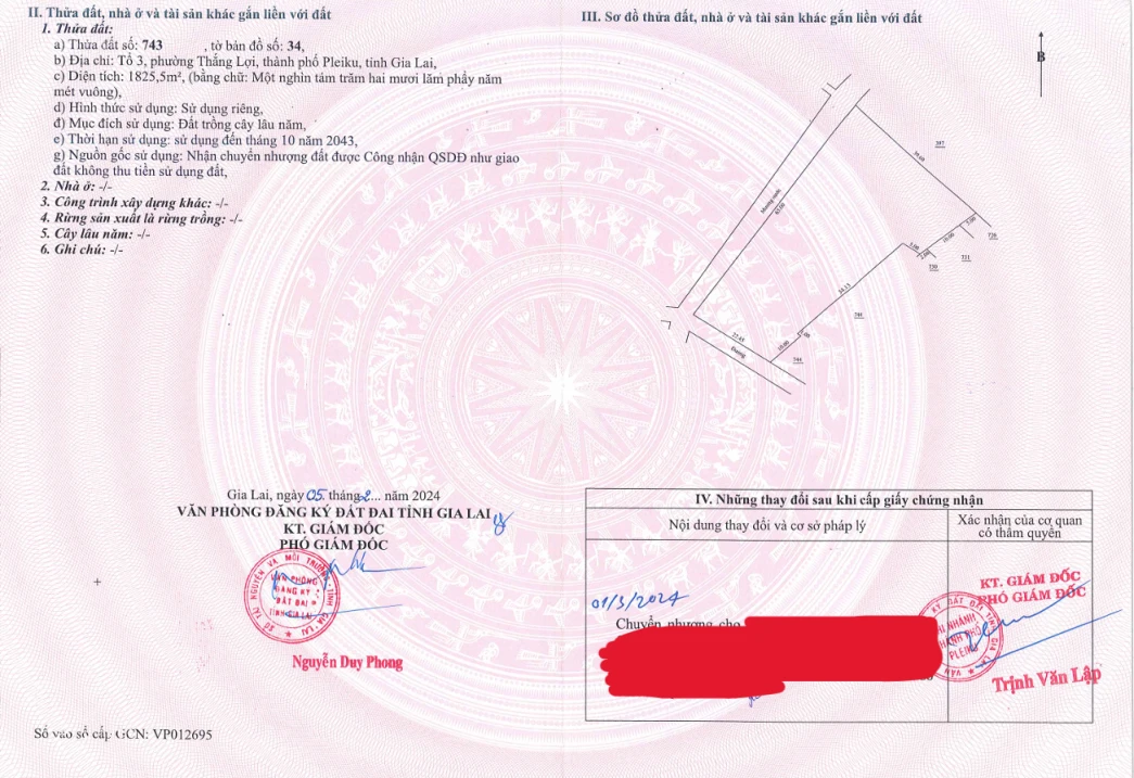 Bán QSDĐ và TS khác gắn liền với đất thuộc thửa 743, TBĐ 34 P.Thắng Lợi, TP.Pleiku, T.Gia Lai - Ảnh 1