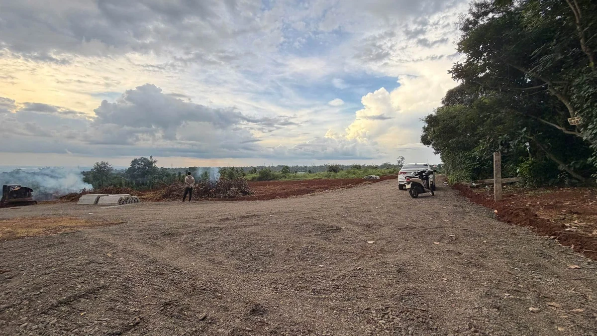 Bán đất nông nghiệp Hóc Môn 500m² giá 1 tỷ 590 triệu - Ảnh thu nhỏ 4