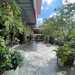 Bán nhà mặt bằng 3 tầng kinh doanh 225m², Lê Nin, giá 12,5 tỷ - Ảnh thu nhỏ 5