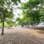 Bán đất 2.100m2 xây nhà vườn Cần Giờ - Ảnh thu nhỏ 4