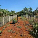 Bán đất nền 180m² tại Bùi Thị Xuân, Bình Chánh, 2 tỷ 400 triệu - Ảnh thu nhỏ 3