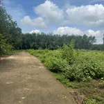 Bán đất 100m² gần ngã tư Chơn Thành 380 triệu - Ảnh thu nhỏ 3