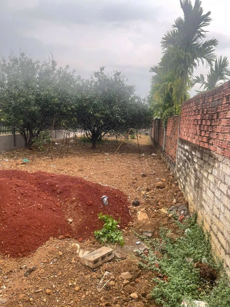 Bán lô đất 308,6m² Tân Triều Biên Hòa 2,4 tỷ - Ảnh thu nhỏ 5