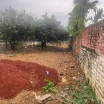 Bán lô đất 308,6m² Tân Triều Biên Hòa 2,4 tỷ - Ảnh thu nhỏ 5