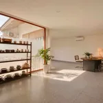 Bán biệt thự sân vườn 122m² gần sân bay, Phú Nhuận 13 tỷ - Ảnh thu nhỏ 5