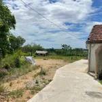 Bán đất kiệt 1.000m² (300m² thổ cư) Nguyễn Viết Xuân, Huế - Ảnh thu nhỏ 1