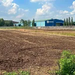 Bán đất 300m2 mặt tiền tỉnh lộ 765, Xuân Tây, Đồng Nai - Ảnh thu nhỏ 1