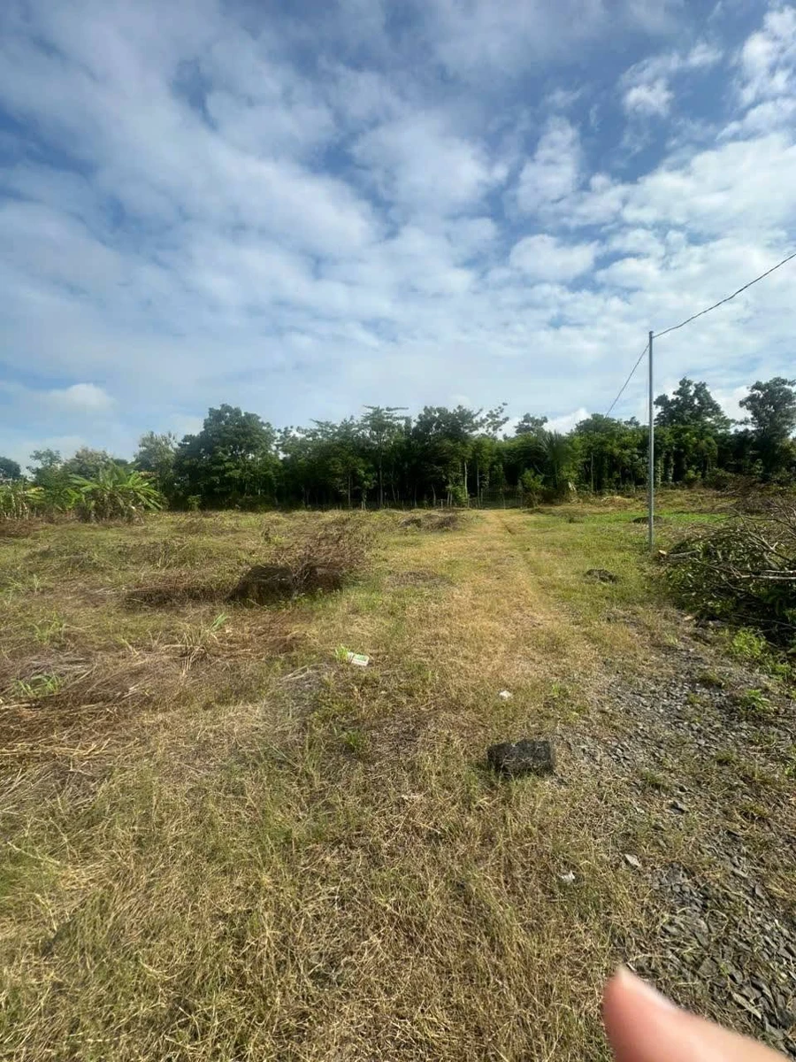 Bán đất 22.225m2 Ấp 1, Thanh Sơn, Định Quán, Đồng Nai giá 1,8 tỷ - Ảnh thu nhỏ 2