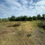 Bán đất 22.225m2 Ấp 1, Thanh Sơn, Định Quán, Đồng Nai giá 1,8 tỷ - Ảnh thu nhỏ 2