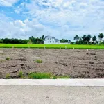 Bán đất nền Tây Ninh 125-185m2 mặt tiền - Ảnh thu nhỏ 4