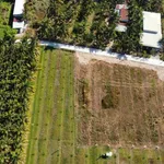 Bán đất 200m² thổ cư Phước Hội, Tây Ninh 495 triệu - Ảnh thu nhỏ 2