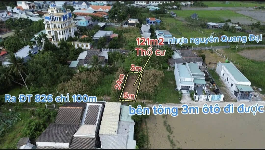 Bán đất thổ cư 120m² sát đường tỉnh 826 Cần Đước - Ảnh thu nhỏ 5