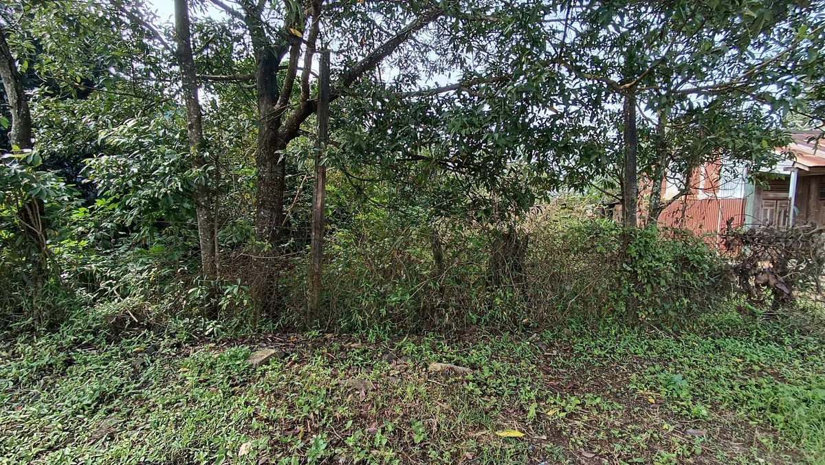 Bán đất mặt tiền Tôn Đức Thắng, Biển Hồ, Gia Lai, 125m², gần cổng du lịch - Ảnh thu nhỏ 5