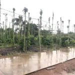 Bán 5000m² đất thổ cư Huyện Cẩm Mỹ, Đồng Nai 11 tỷ 500 triệu - Ảnh thu nhỏ 1