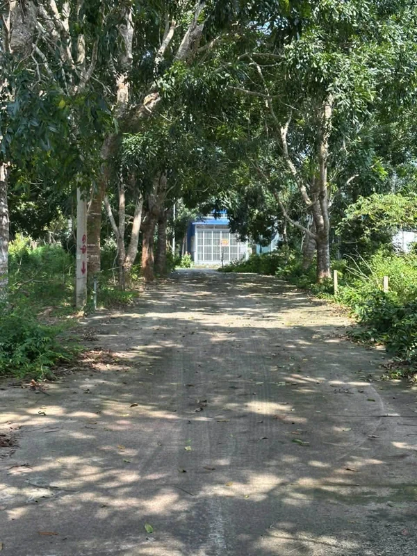 Bán đất 120m² Phú Quốc, gần 1,1 tỷ