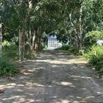 Bán đất 120m² Phú Quốc, gần 1,1 tỷ - Ảnh thu nhỏ 1