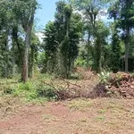 Bán lô đất gần 1 sào 3 tại Hòa Thuận Đạt Lý, 1 tỷ 380 triệu - Ảnh thu nhỏ 3
