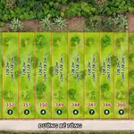 Bán đất nền Hòa Ninh Di Linh 100m² từ 299 triệu - Ảnh thu nhỏ 1