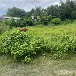 Bán đất Ấp Tân Tiến, Xã Tân Phú, Tây Ninh, 155m² - Ảnh thu nhỏ 3