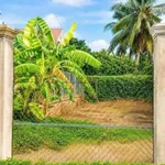 Bán đất mặt tiền 151m2 Trần Văn Cầu An Hội - Ảnh thu nhỏ 5