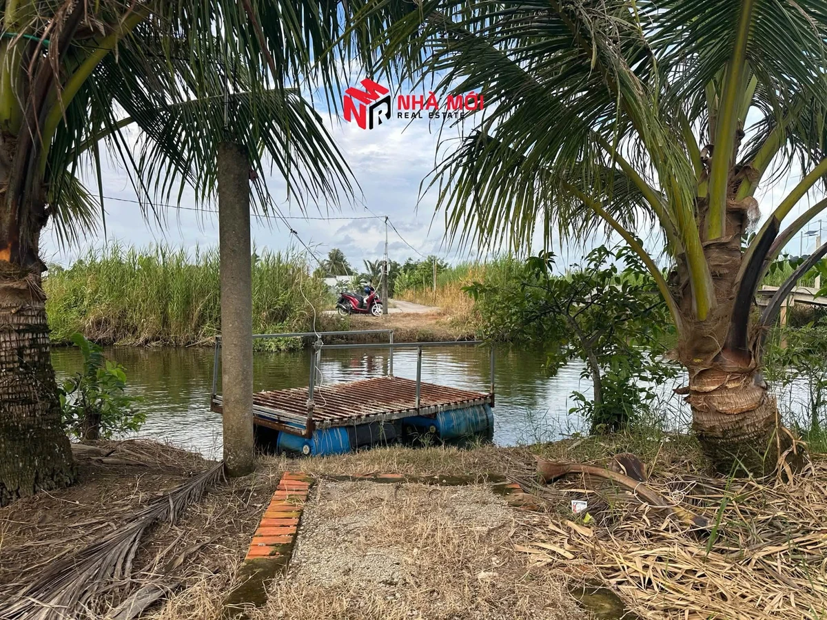 Bán đất vườn 2592m² Cà Mau 1 tỷ 890 triệu - Ảnh thu nhỏ 3
