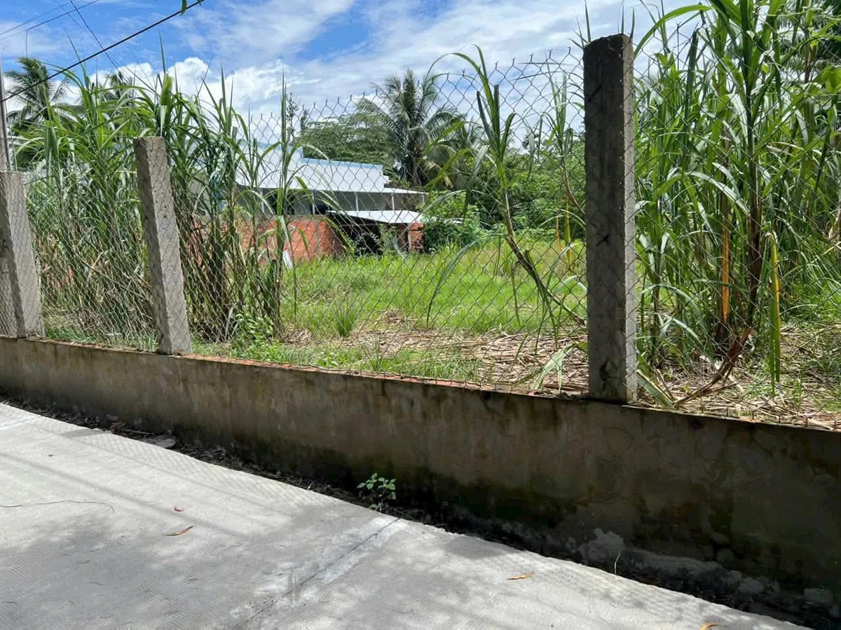 Bán đất nền Xã Tiên Thuỷ 238.9m2 mặt tiền hẻm - Ảnh thu nhỏ 3