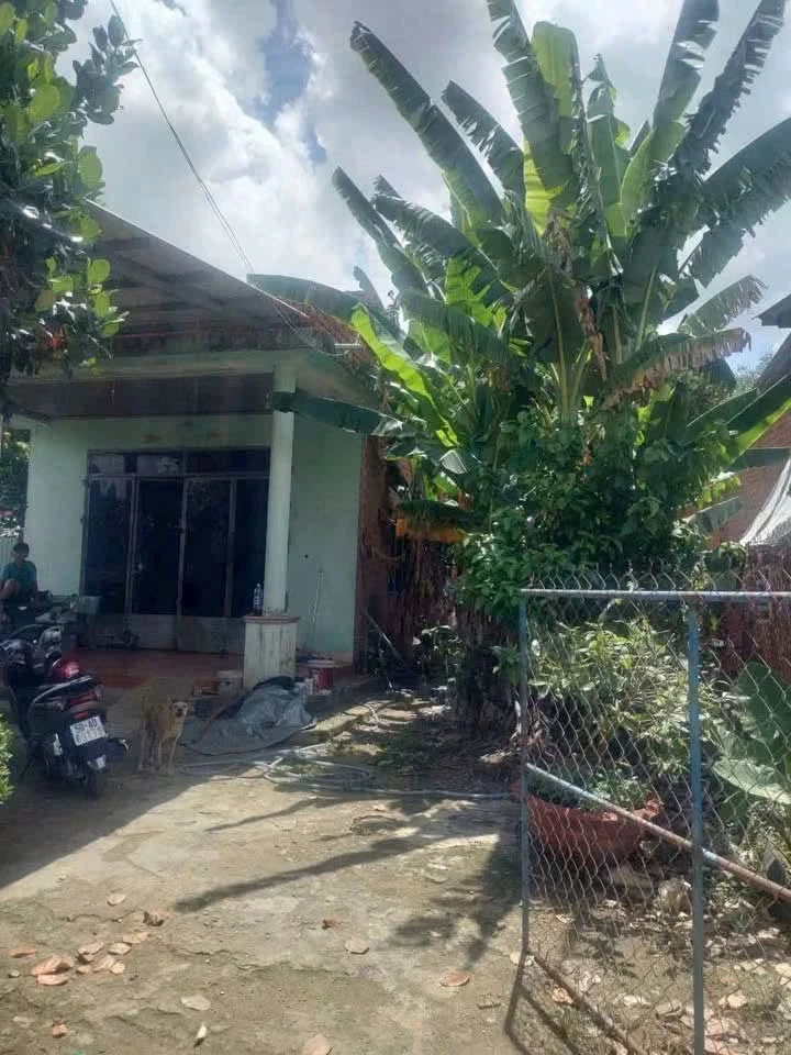 Bán nhà mặt tiền đường đất 13x29m, 100m2 thổ cư, Bạch Đằng Tân Uyên, giá 1,9 tỷ - Ảnh thu nhỏ 2