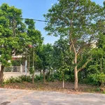 Bán đất phố Trần Hưng Đạo, Hải Phòng, 330m2, 3 tỷ - Ảnh thu nhỏ 1