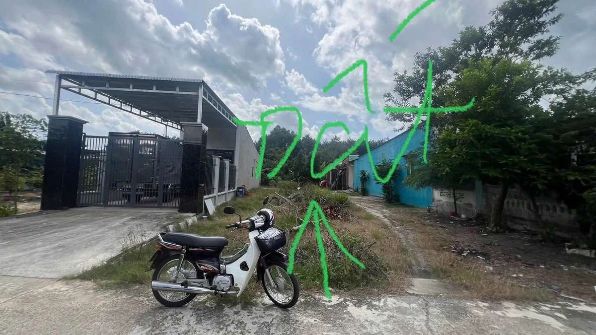 Bán đất nền 50m2 đường Huỳnh Văn Bánh, Chơn Thành - Ảnh thu nhỏ 3