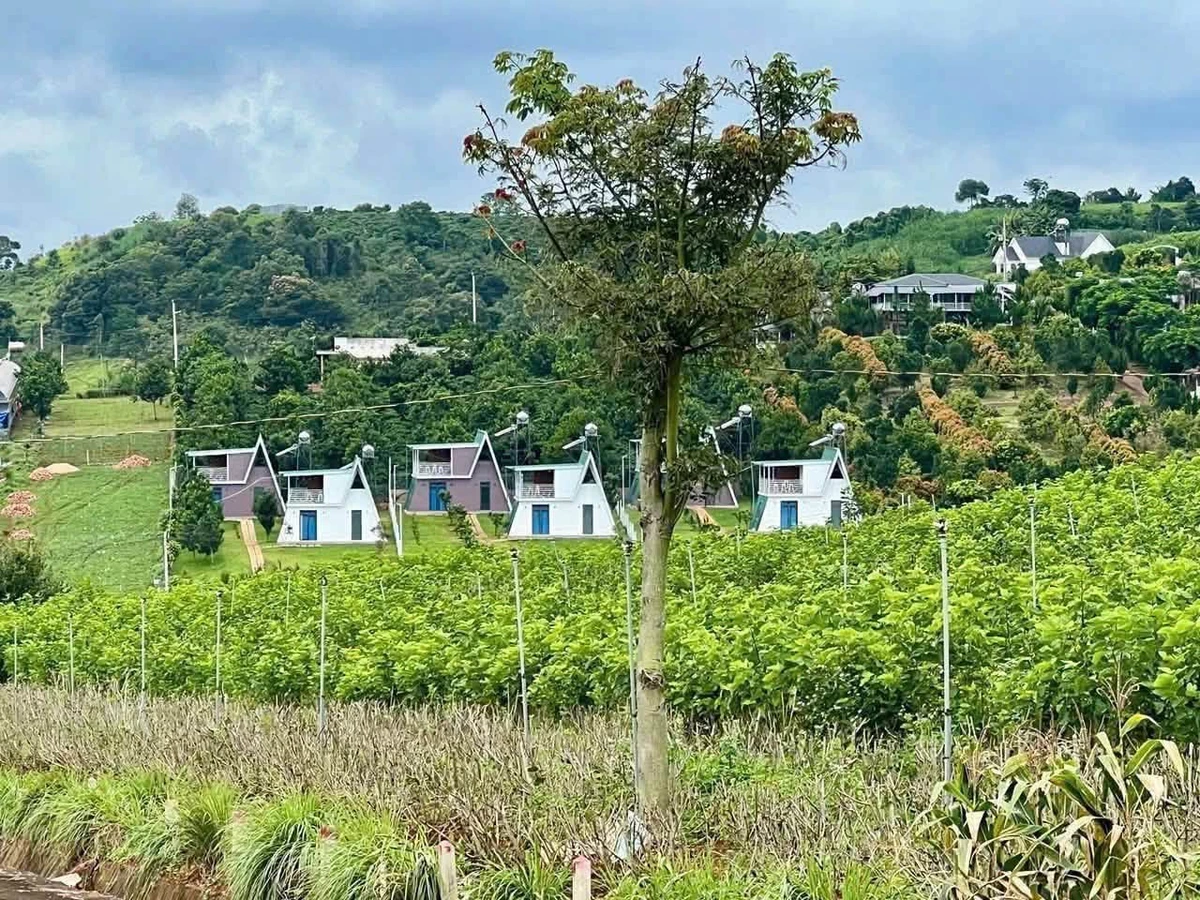 Bán đất 200m² vừa Đà Lạt 559 triệu - Ảnh thu nhỏ 4