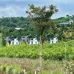 Bán đất 200m² vừa Đà Lạt 559 triệu - Ảnh thu nhỏ 4