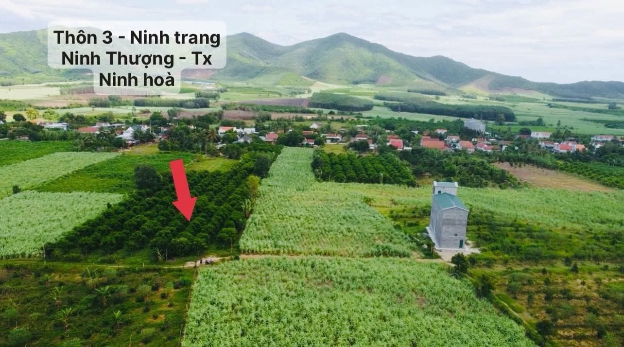 Bán đất vườn 5.000m² Khánh Hòa gần suối, sổ hồng - Ảnh thu nhỏ 3