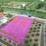 Bán đất thổ cư view sông 186-203m2 giá 390 triệu tại Thạnh Hòa, Bến Lức - Ảnh thu nhỏ 4