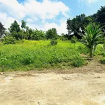 Bán đất vườn 509m2 Diên Khánh, Khánh Hòa 699 triệu - Ảnh thu nhỏ 3