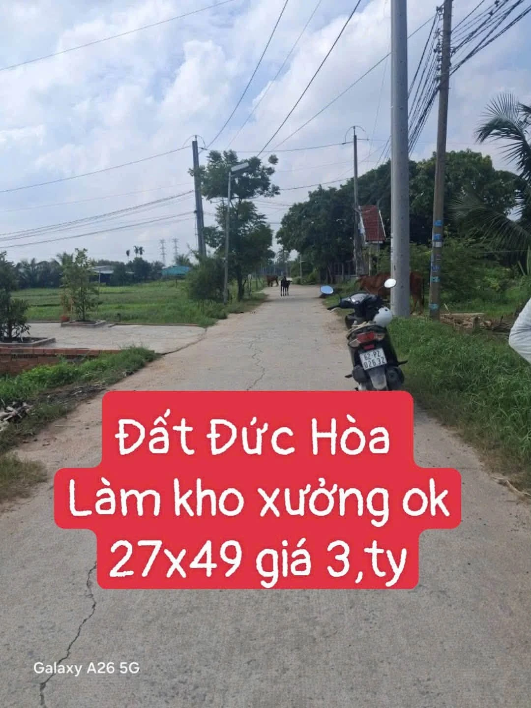 Bán đất mặt tiền đường bê tông gần chùa Pháp Tuyền, 500m thổ cư, giá 3 tỷ - Ảnh 1