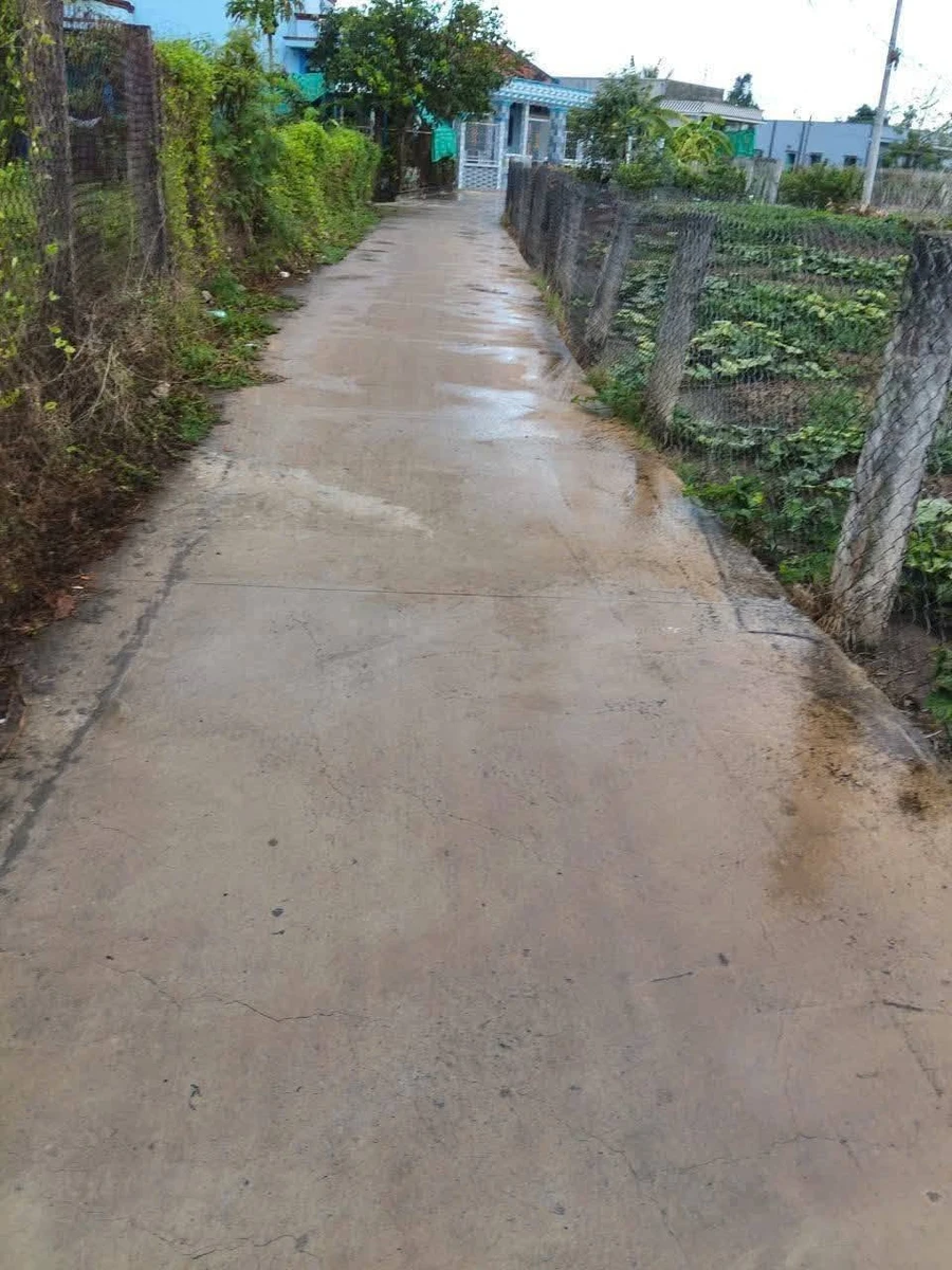 Bán 1200 m² đất vườn Tân Trạch Cần Dước Long An 1 tỷ 100 triệu - Ảnh thu nhỏ 2