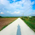 Bán đất 1000m2 mặt tiền Tây Ninh giá 980 triệu - Ảnh thu nhỏ 3
