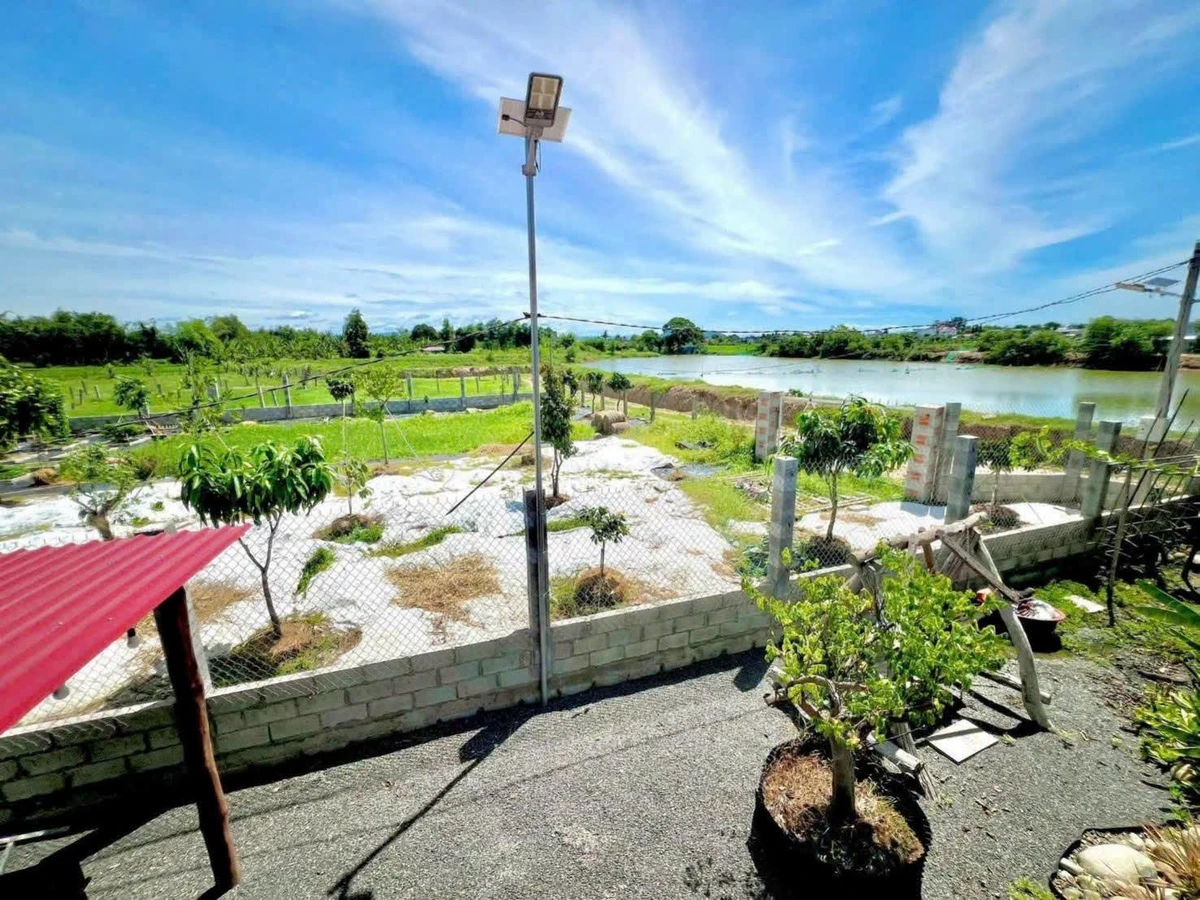 Bán nhà vườn 735m² tại Hàm Chính, Nhà Bè, 1,9 tỷ - Ảnh thu nhỏ 4