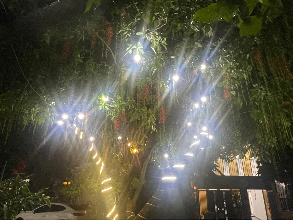 Bán nhà 2 phòng ngủ 66m² Hà Huy Tập, giá 3.1 tỷ - Ảnh thu nhỏ 4