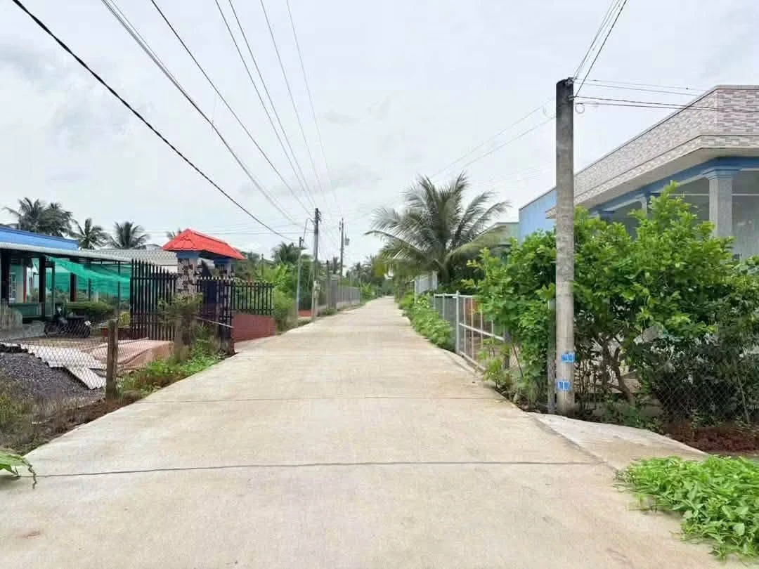 Bán đất thổ cư 110m² MT Nhựt Chánh, Bến Lức 800tr - Ảnh 1