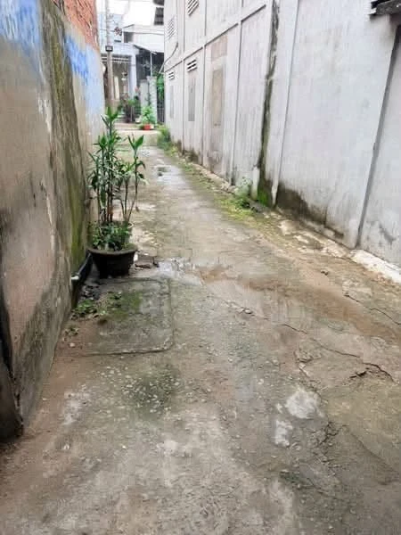 Bán nhà 30.8m² Phú Hưng Bến Tre 500 triệu - Ảnh thu nhỏ 2