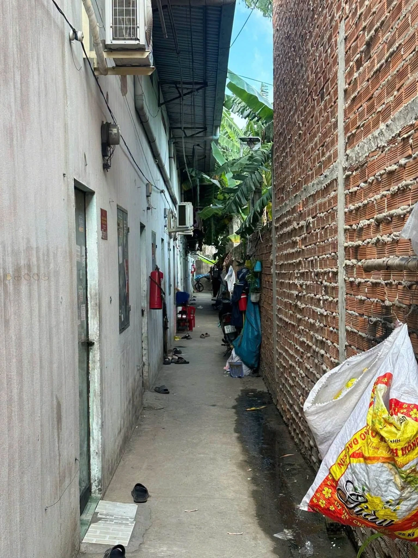 Bán nhà mái thái kèm 50 phòng trọ 1036m2 đường Thuận Giao 20, Thuận An, Bình Dương - Ảnh 1